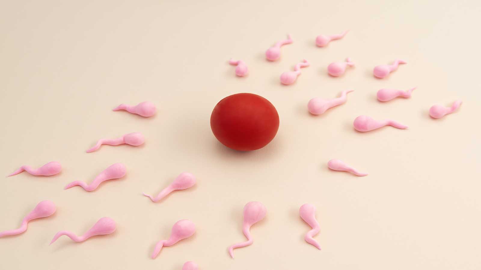 Reproductive Hormones – 1 CEU